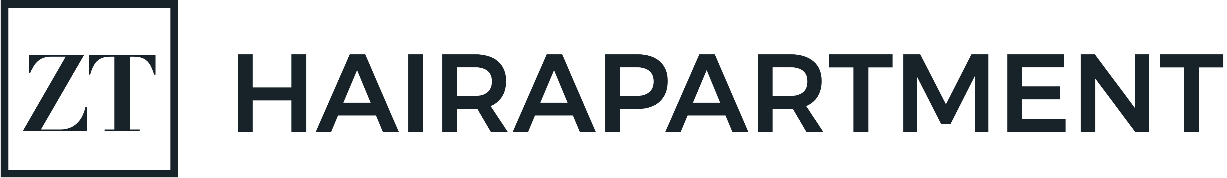 Logo Hairapartment Waldkirch